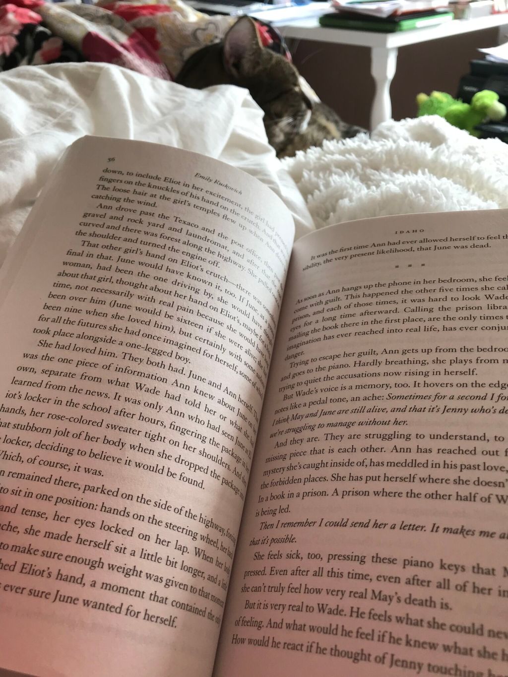 Idaho by Emily&nbsp;Ruskovich